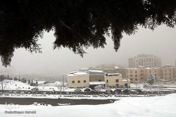 تهران برفی