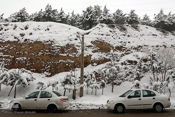 تهران برفی