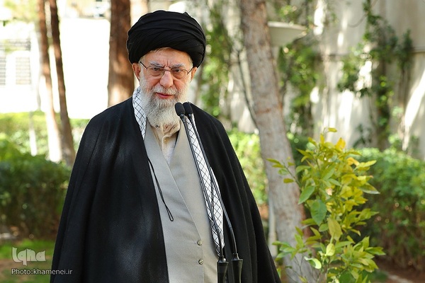 کاشت نهال در روز درختکاری