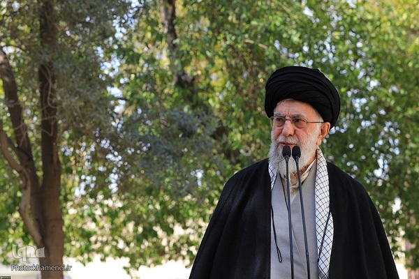 کاشت نهال در روز درختکاری