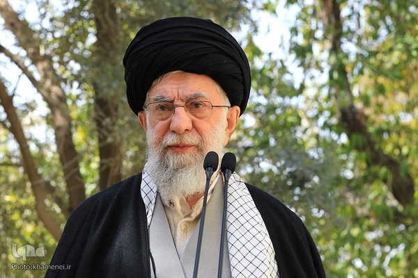 کاشت نهال در روز درختکاری