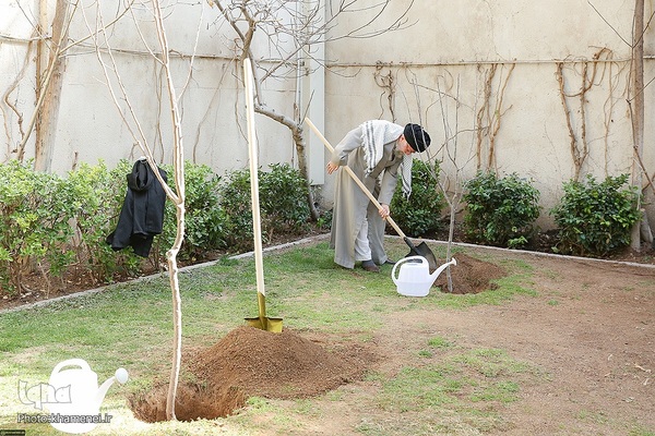 کاشت نهال در روز درختکاری