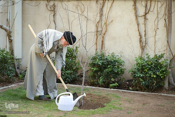 کاشت نهال در روز درختکاری