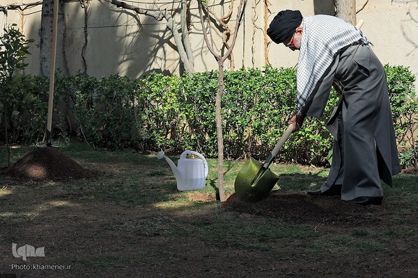 کاشت نهال در روز درختکاری