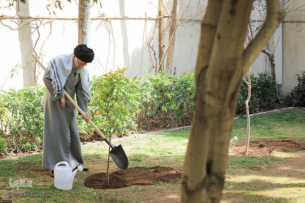 کاشت نهال در روز درختکاری