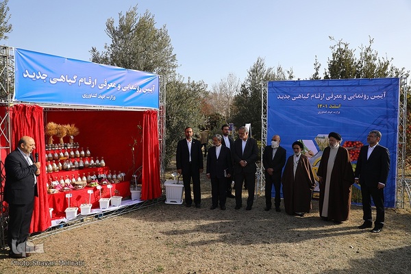 نکوداشت روز درخت‌کاری با حضور رئیس جمهور