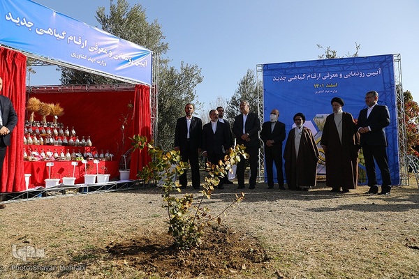 نکوداشت روز درخت‌کاری با حضور رئیس جمهور