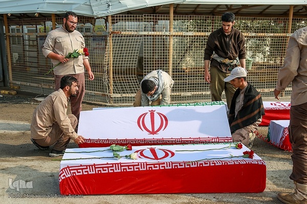 بازگشت لاله‌ها به آغوش وطن