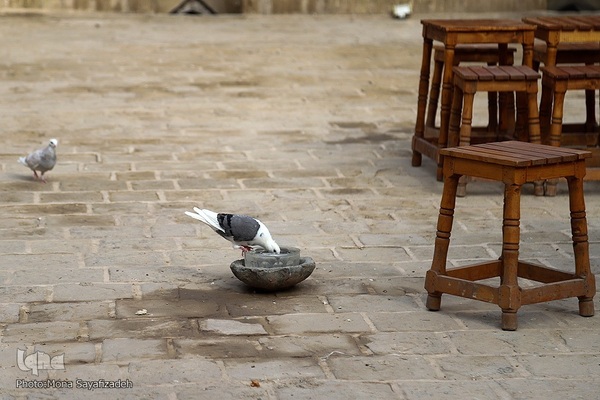 سرای افضل شوشتر