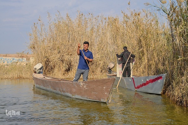 پیوند آب و آسمان در تالاب شادگان