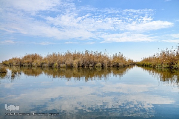پیوند آب و آسمان در تالاب شادگان