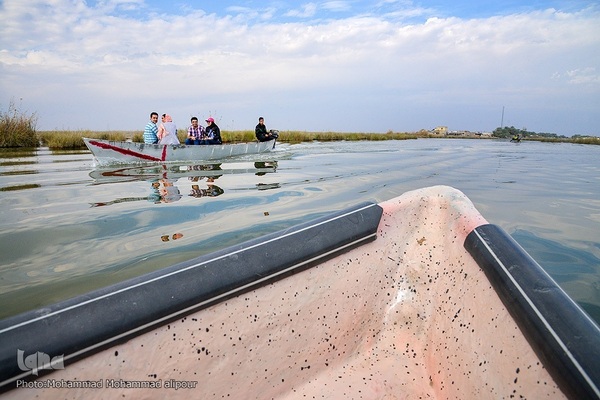 پیوند آب و آسمان در تالاب شادگان