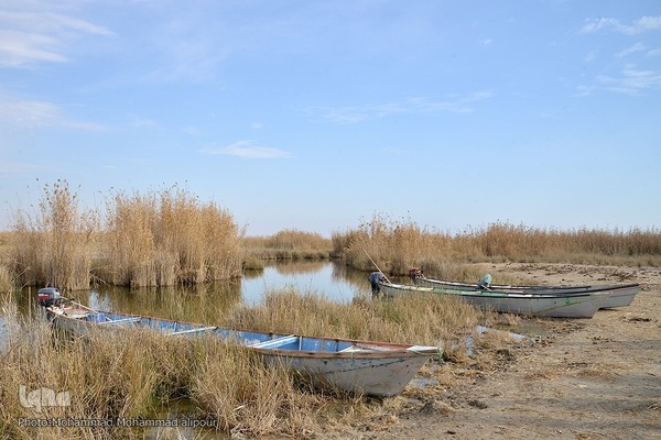 پیوند آب و آسمان در تالاب شادگان