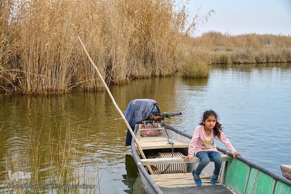 پیوند آب و آسمان در تالاب شادگان