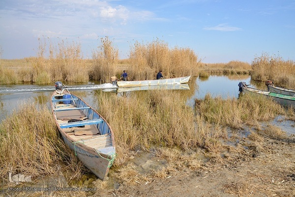 پیوند آب و آسمان در تالاب شادگان