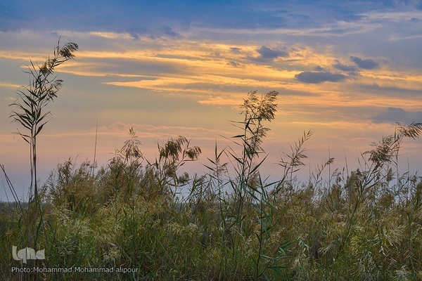 پیوند آب و آسمان در تالاب شادگان