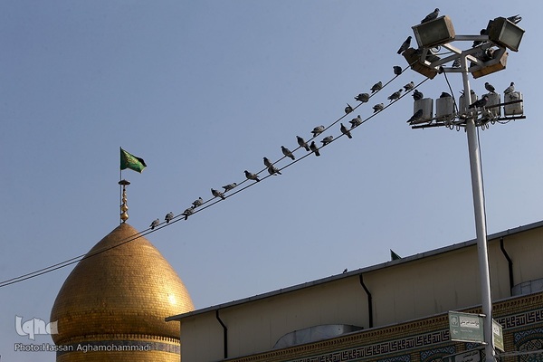 حرم عبدالعظیم حسنی (ع) در بهار جانها