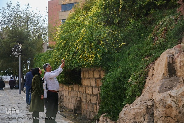 دروازه قرآن و خواجوی کرمانی