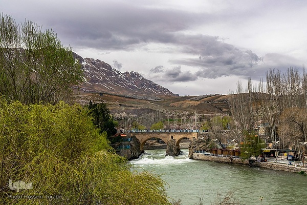 سامان شهر شکوفه های بهاری