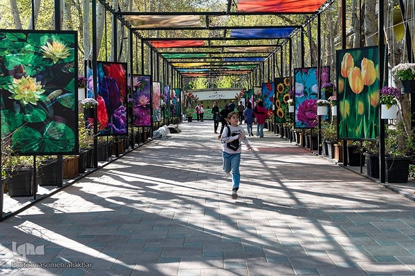 نهمین جشنواره لاله کرج