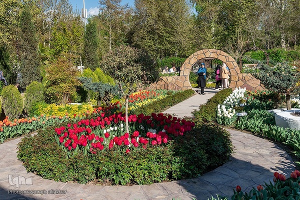 نهمین جشنواره لاله کرج