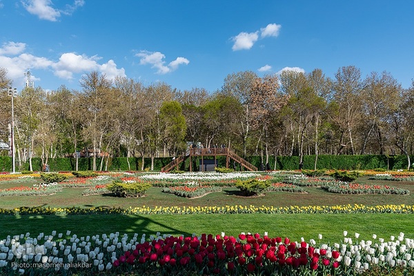 نهمین جشنواره لاله کرج