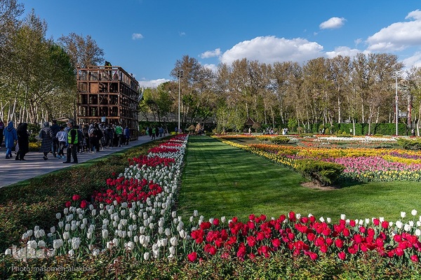 نهمین جشنواره لاله کرج
