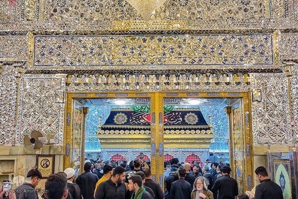 احیا در حرم امام علی‎‎