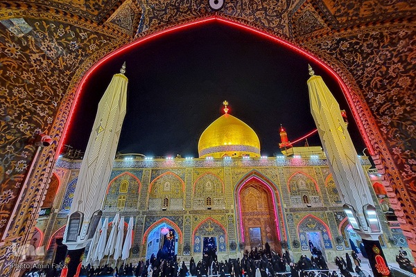 احیا در حرم امام علی‎‎