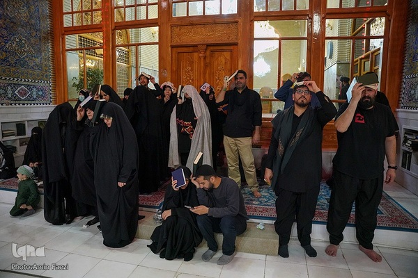 احیا در حرم امام علی‎‎