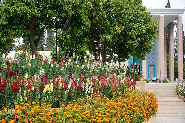 اول اردیبهشت روز سعدی شیرازی‎‎