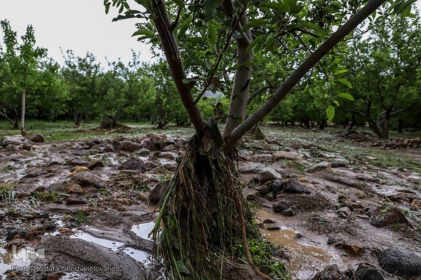 وقوع خسارت سنگین سیل به برخی روستاهای شهرستان اهر