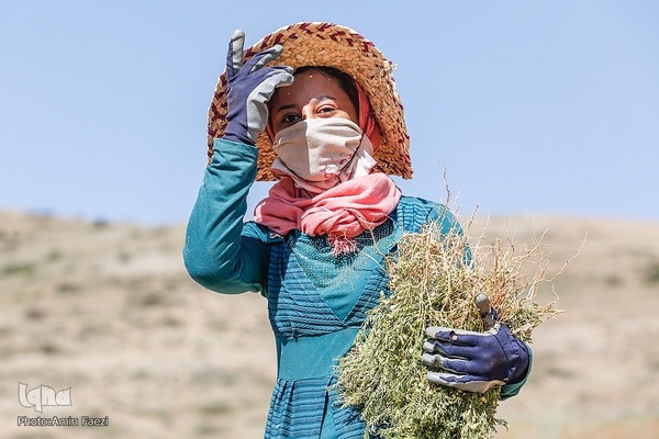 دخترم روزت مبارک