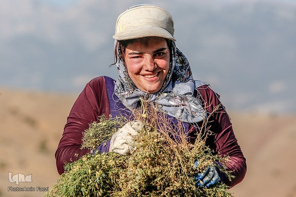 دخترم روزت مبارک