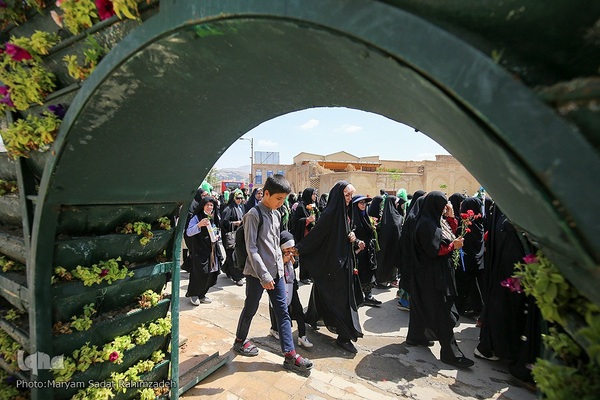 شادپیمایی دختران شیرازی در سالروز ولادت حضرت معصومه (س)