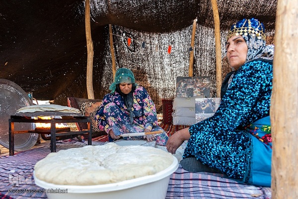 جشن شکرگزاری برداشت گندم‎