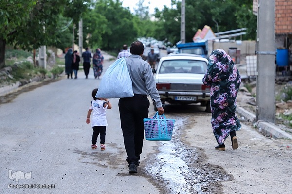 جشنواره برداشت گل محمدی عنصرود