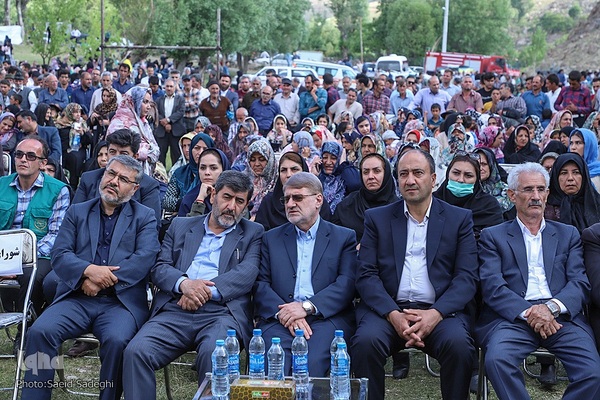 جشنواره برداشت گل محمدی عنصرود