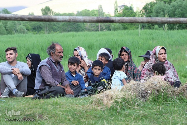 جشنواره برداشت گل محمدی عنصرود