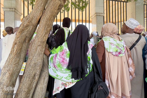 قبرستان ابوطالب