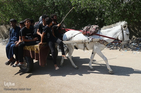 پیاده روی اربعین در منطقه زرگه