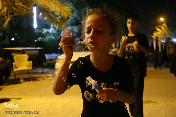 پیاده روی اربعین در منطقه زرگه