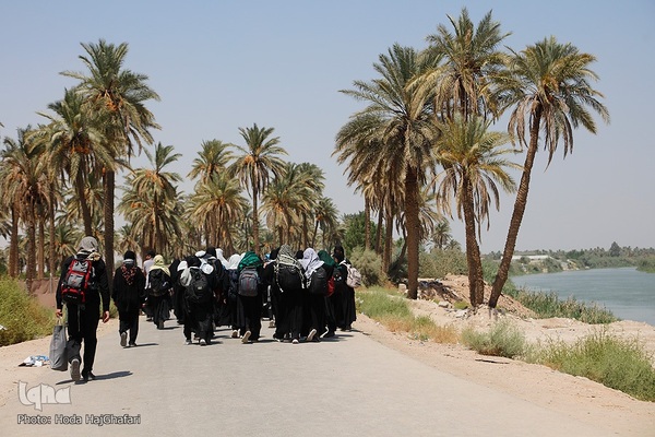 طریق العلما