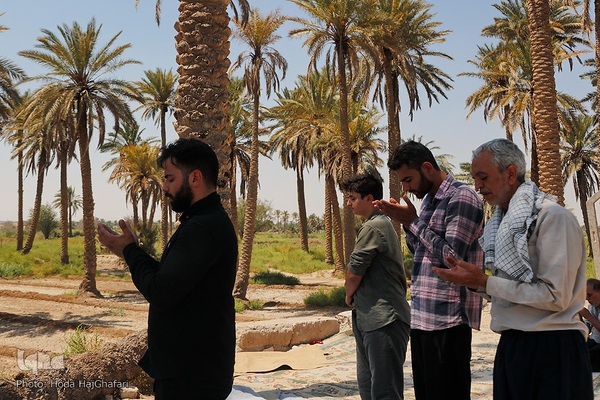 طریق العلما