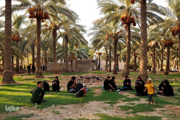 طریق العلما