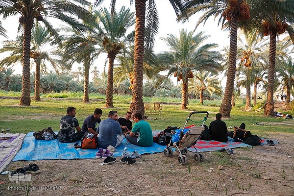 طریق العلما