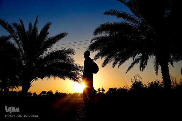 طریق العلما