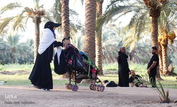 طریق العلما