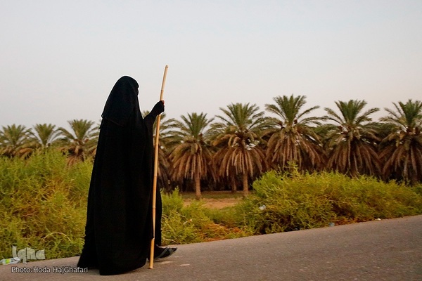 طریق العلما