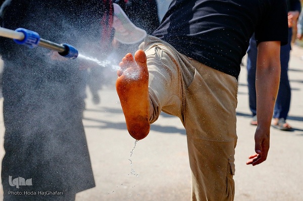 طریق العلما